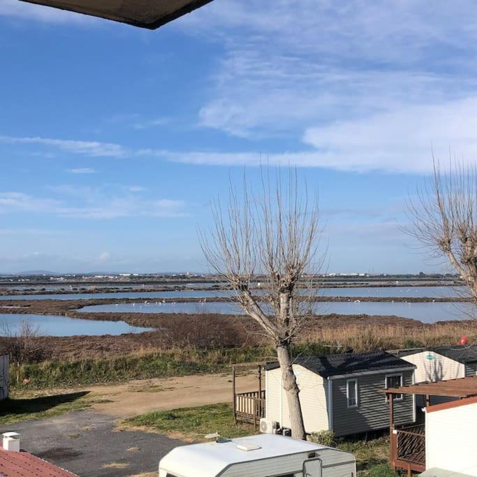 Situation Ideale F2, 2 Eme Ligne,Climatise, Plage 帕拉瓦莱弗洛 外观 照片