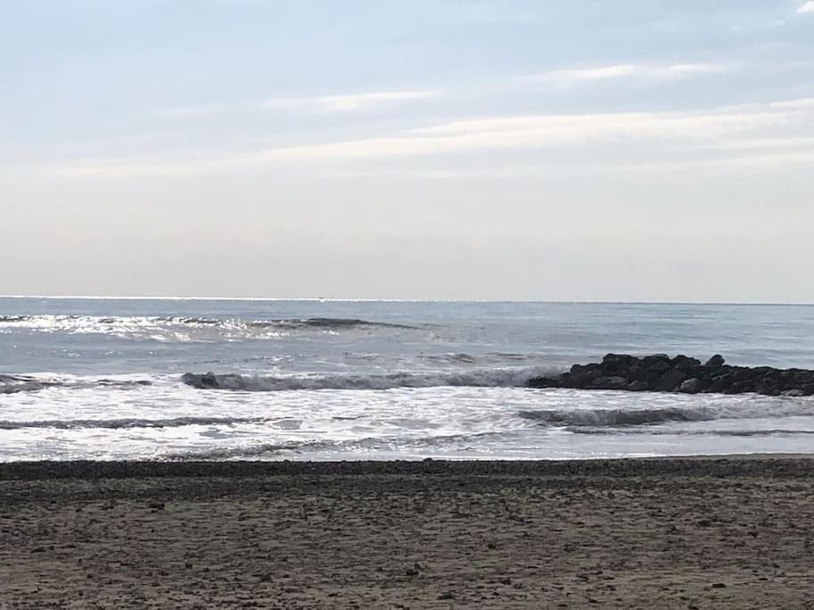 Situation Ideale F2, 2 Eme Ligne,Climatise, Plage 帕拉瓦莱弗洛 外观 照片